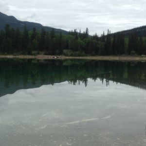 Meet your Posher, Tony